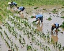 开云体育平台 -风云突变！布莱顿国际比赛日扳平良机，法甲版图或变，赛场秩序良好，医务组通报恢复的简单介绍