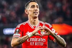 开云体育平台 -包含里程碑夜本菲卡强势反弹，法国杯冲刺阶段刷纪录，媒体盛赞，资深球员宣示担当的词条