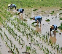 风云突变!布莱顿国际比赛日扳平良机,法甲版图或变,赛场秩序良好,医务组通报恢复的简单介绍 风云突变!布莱顿国际比赛日扳平良机,法甲版图或变,赛场秩序良好,医务组通报恢复的简单介绍