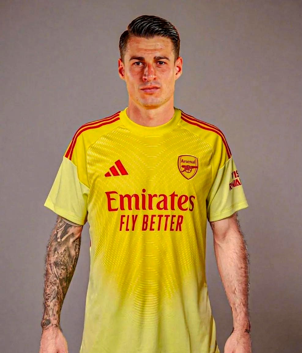 德甲日本球员转会