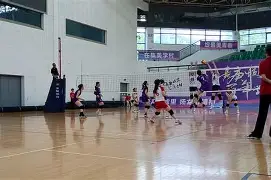 牛鹿赖皮百度云